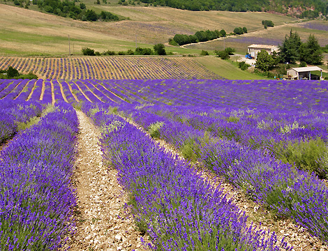 Alpes-de-Haute-Provence