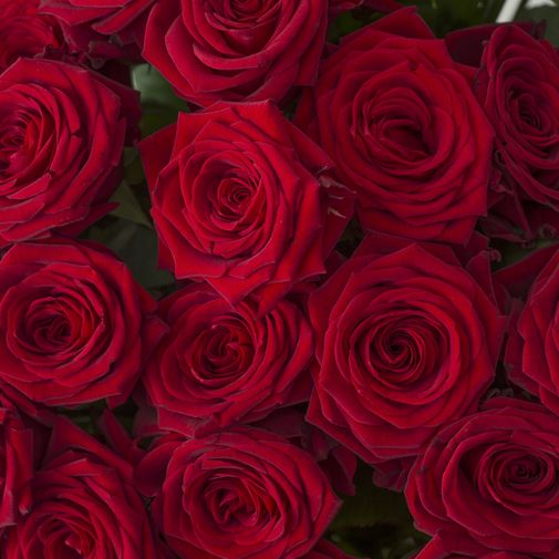 Bouquet de roses Grandes roses sur-mesure