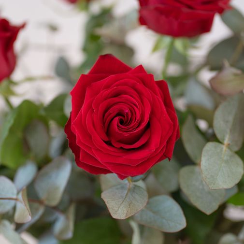 Bouquet de fleurs Mon grand amour et sa bougie parfumée