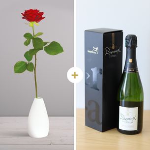 Bouquet de roses Rose rouge et son champagne Devaux Anniversaire