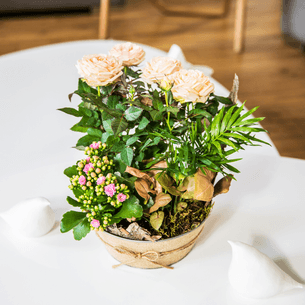 Plantes vertes et fleuries Coin de paradis Fête des grands-pères