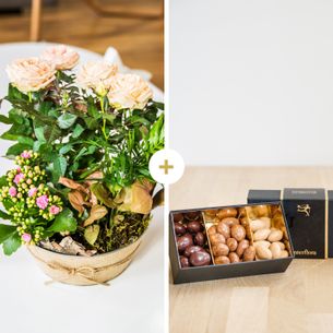 Plantes vertes et fleuries Coin de paradis et ses amandes au chocolat Fête des grands-pères