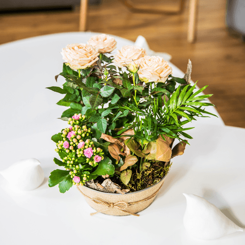 Plantes vertes et fleuries Coin de paradis et sa bougie parfumée