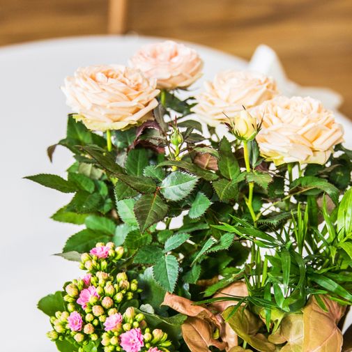 Plantes vertes et fleuries Coin de paradis et sa bougie parfumée