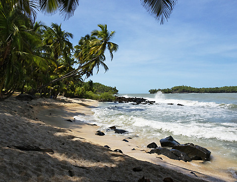 Guyane