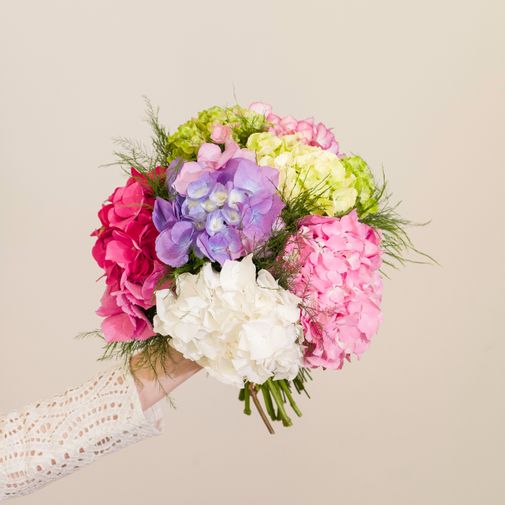 Bouquet de fleurs Brassée d'Hortensias