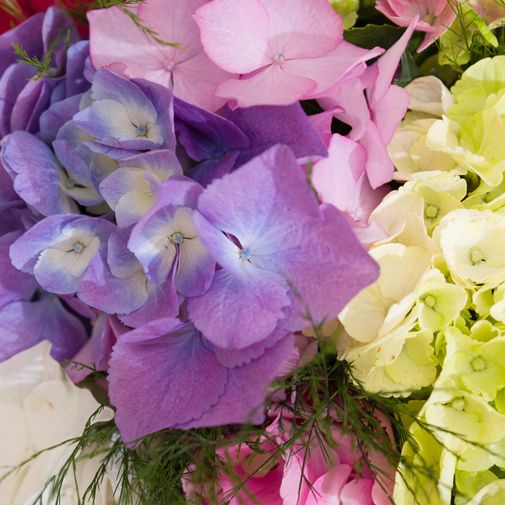 Bouquet de fleurs Brassée d'Hortensias