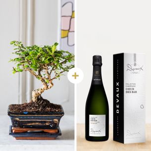 Bouquet de fleurs Bonsai et son champagne Fête des grands-pères