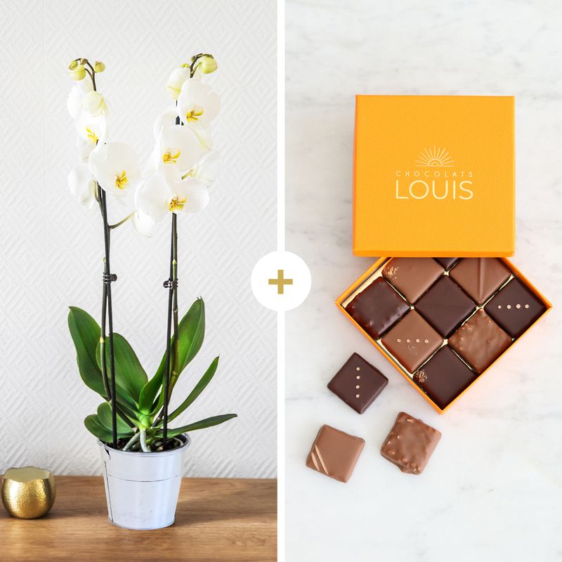 Fleurs et cadeaux Orchidée et ses chocolats