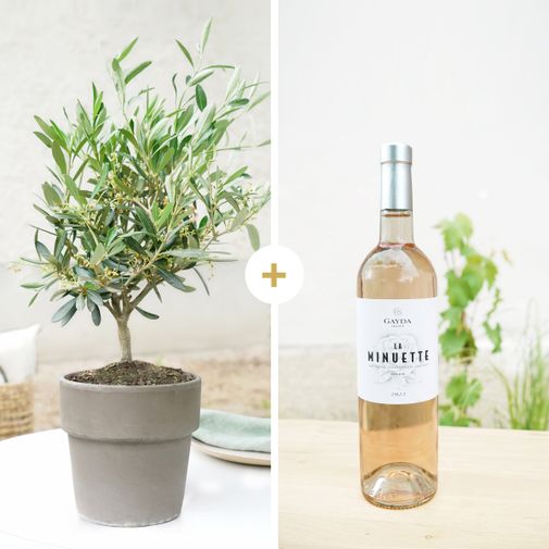 Fleurs et cadeaux Olivier et son vin rosé "La Minuette"