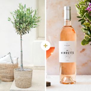 Fleurs et cadeaux Olivier tige et son vin rosé 