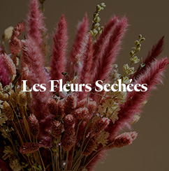 Les fleurs séchées