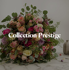 Collection Prestige