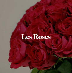 Les roses